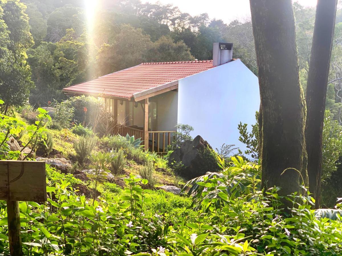 Eighteen21 Houses - Secluded Charm Cottage In Quinta Velha 신트라 외부 사진